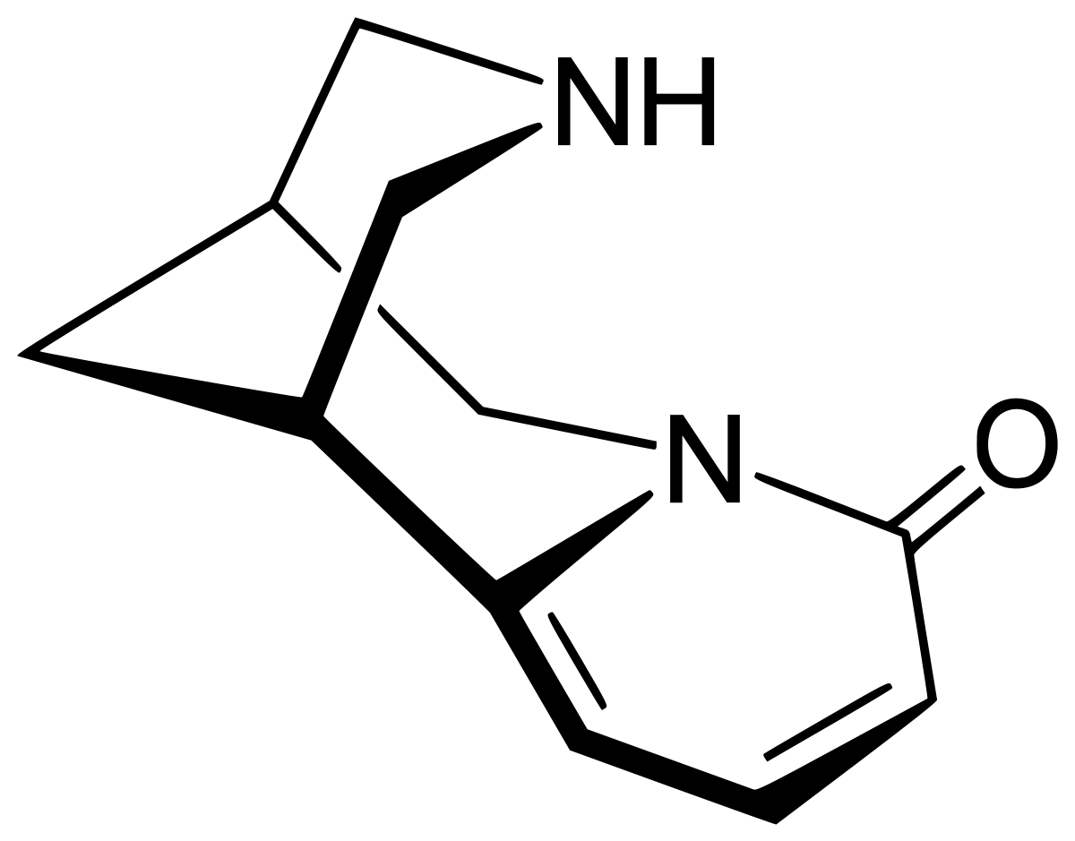 Structure of Cytisine